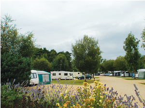 Riverside Wareham Forest