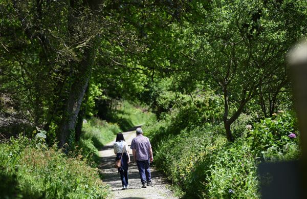 heligan heligan