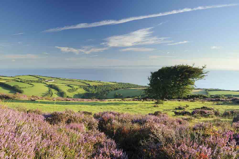 Image of the countryside in Porlock, Somerset