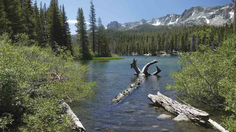 Image of Mammoth Lakes in Eastern Sierra