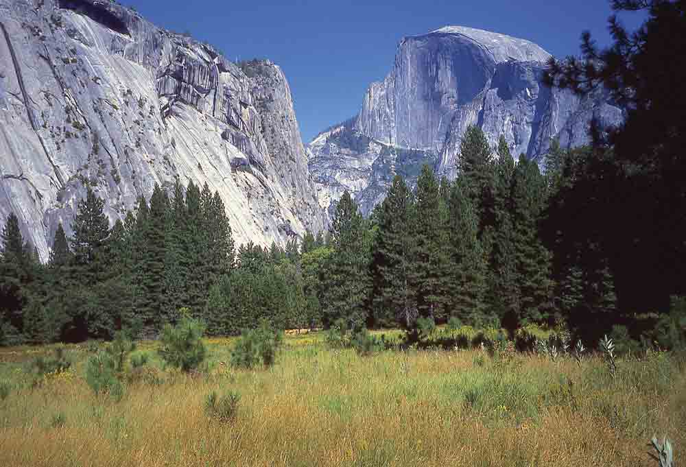 Image of Half Dome in Yosemite National Park