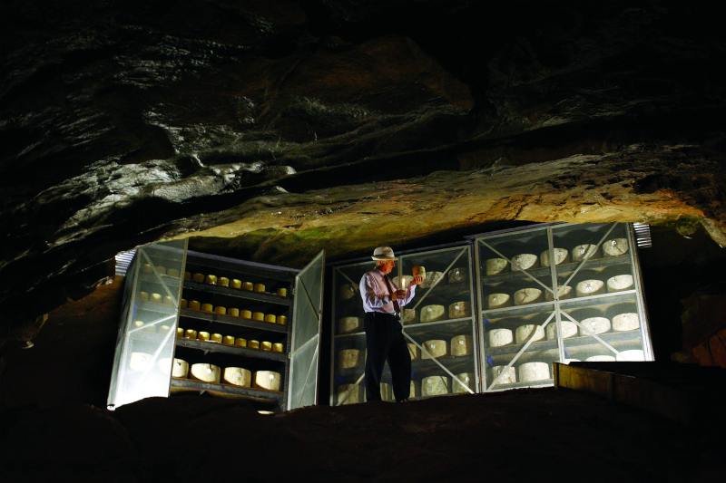Cheddar cheese in a cave