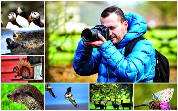 Matty Graham reveals great places to see and photograph wildlife in the UK