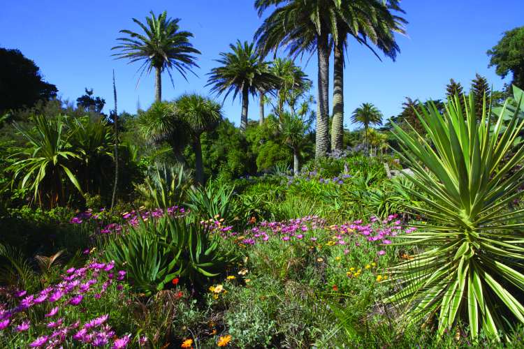 Tresco Abbey Gardens - photo credit: Visit England Tresco Abbey Gardens