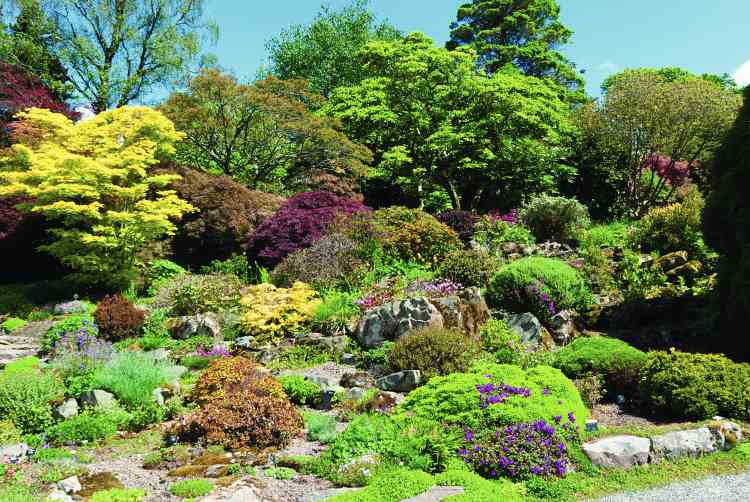 Rock gardening tips
