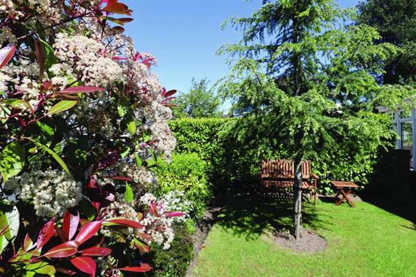 Gardening tips for park home owners Gardening tips for park home owners