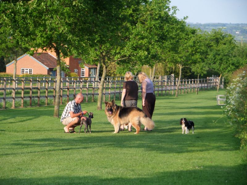 Old Oaks Touring, Glamping & Camping, Somerset