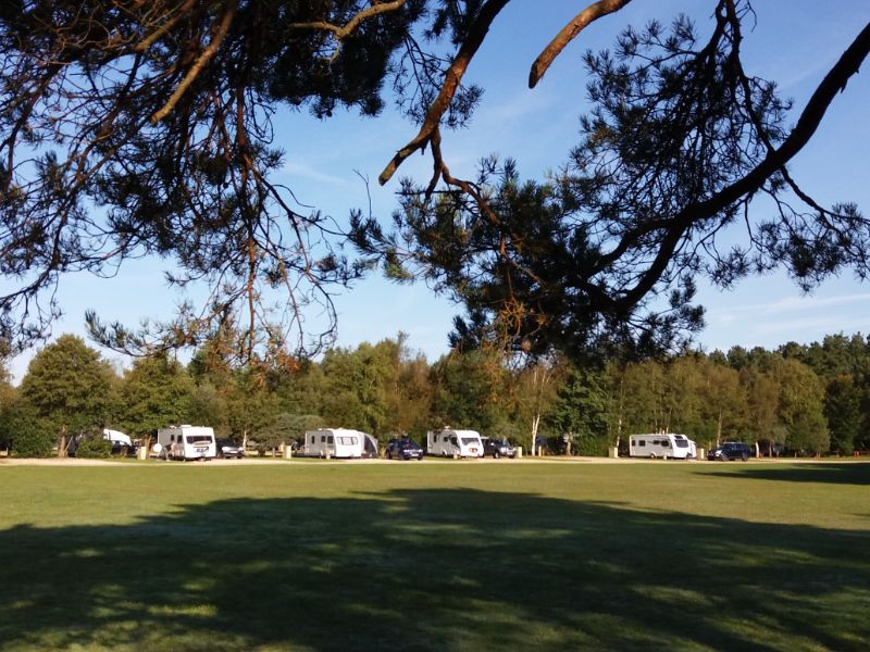 Wareham Forest Tourist Park, Dorset