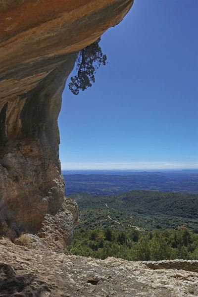 Rock art in the shallow caves above Alquezar - picture courtesy of Carol Kubicki