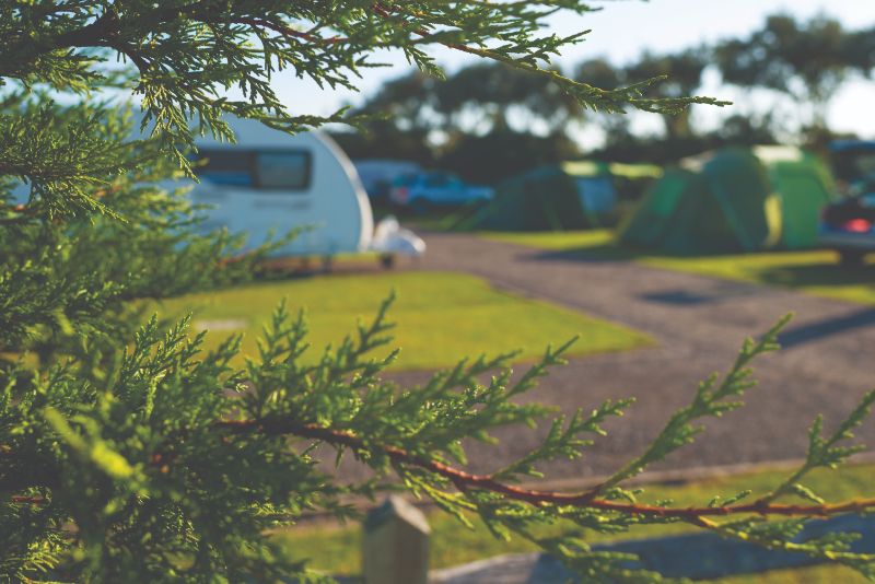 Warner Farm Touring Park