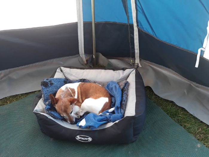Scruffs Expedition box bed