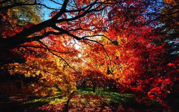 10 Awesome Autumn caravanning locations in the UK