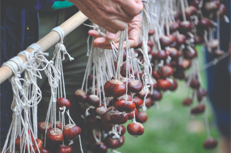 World Conker Championships, Southwick, Northants