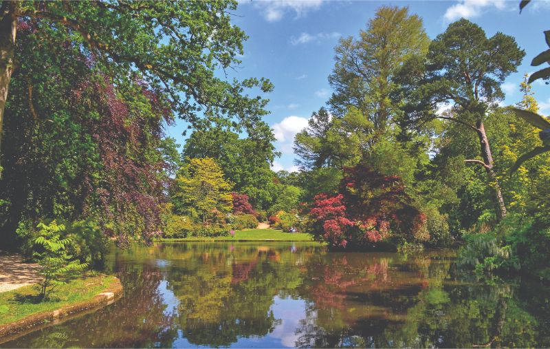 Exbury Gardens 