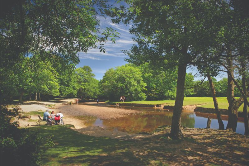 Moors Valley Country Park and Hurn Forest