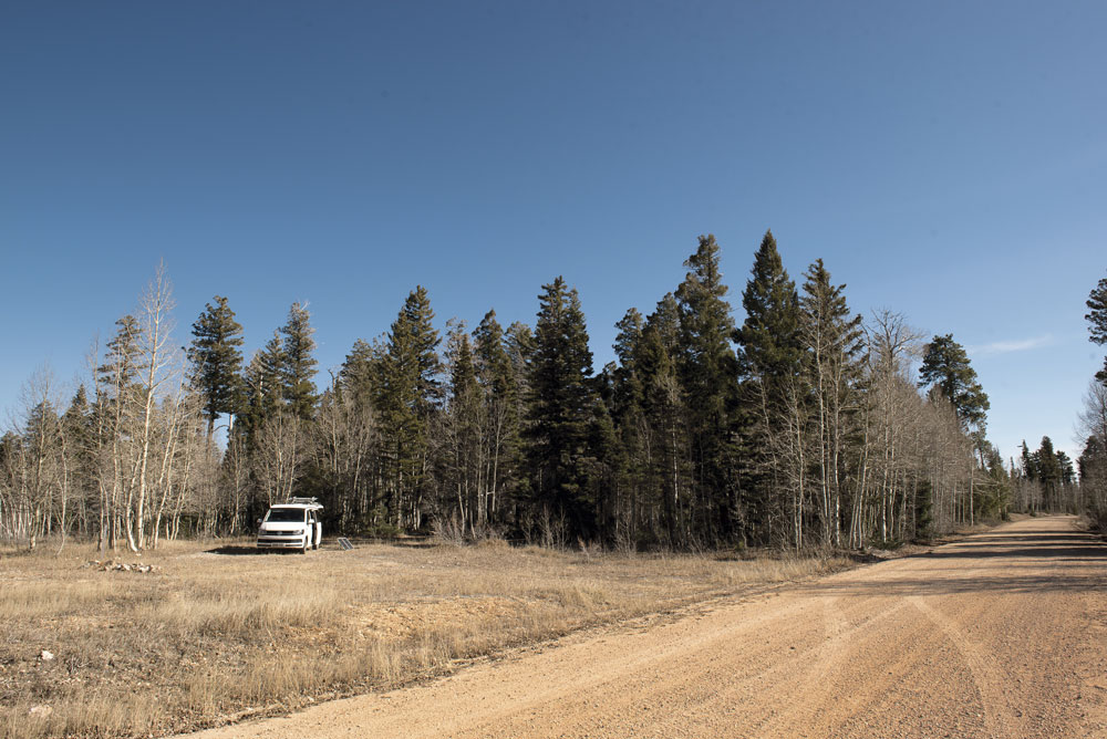 Campervan in the Kaibab National Forest