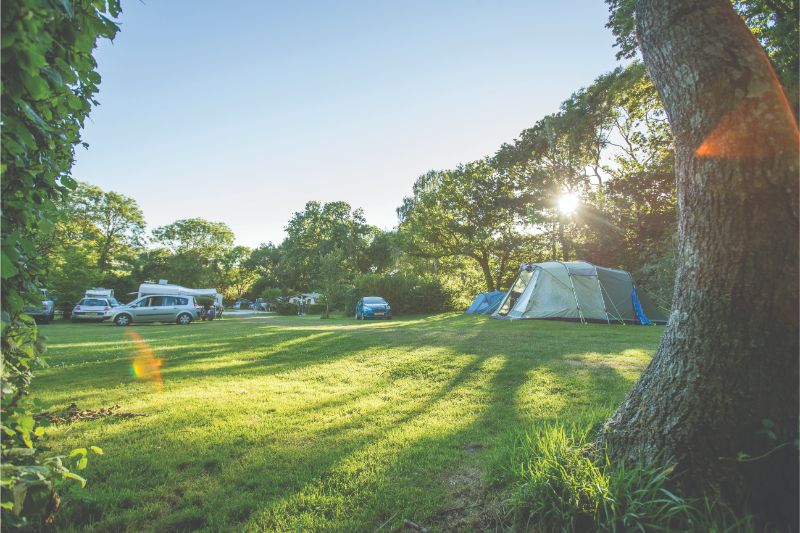 Corfe Castle Camping & Caravanning Club Site