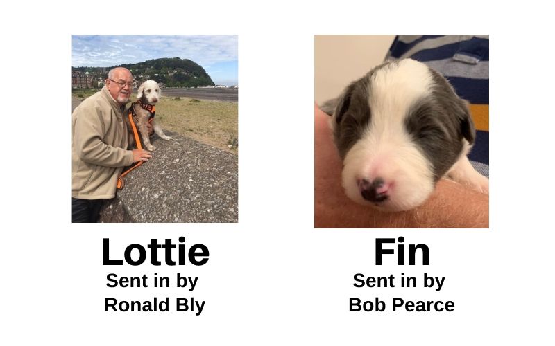 Webbox winners 2