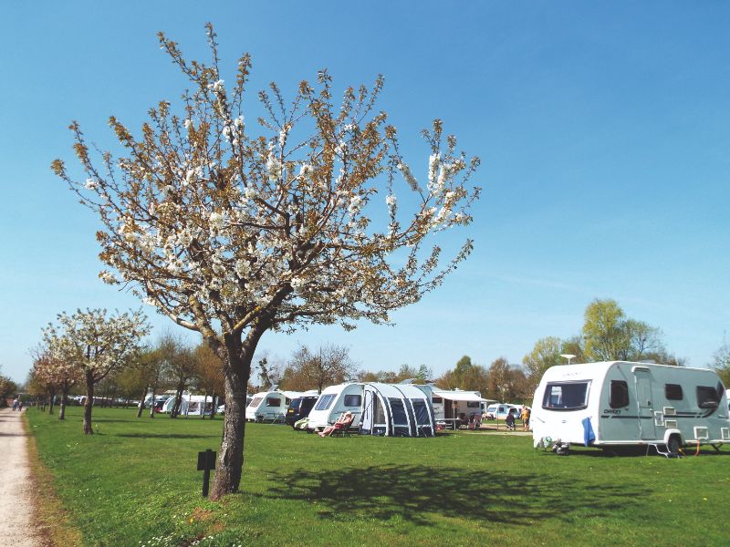Broadmeadow Caravan Park