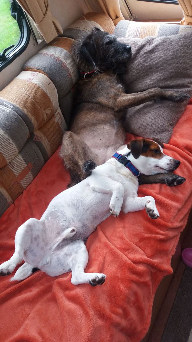Gus and Pippa