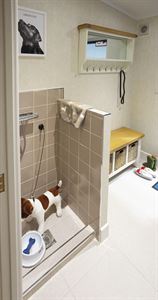 Dog shower