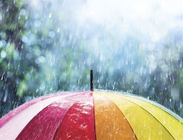 Lifesure Park Home extended flood cover