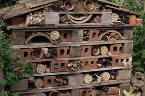 Build a bug hotel Build a bug hotel