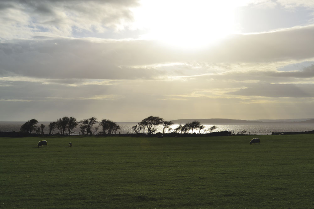Gibraltar Farm campsite