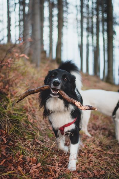https://unsplash.com/@tadekl