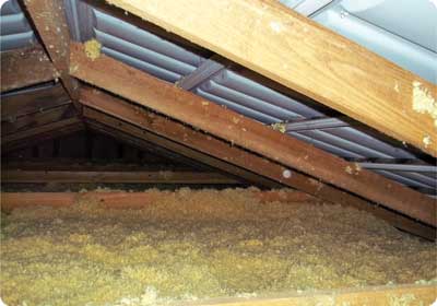 Park home roof insulation Park home roof insulation