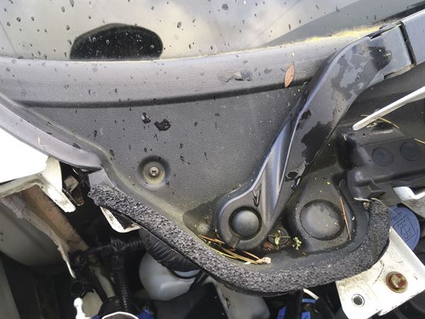 The drain pipe entry between the wiper arm and a large plastic cap gets easily blocked