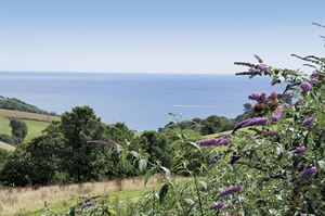 The view of the coast from Bridge Leisure's Seaview Holiday Village in Cornwall The view of the coast from Bridge Leisure's Seaview Holiday Village in Cornwall