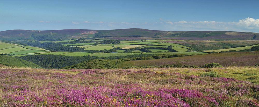 Beautiful and rugged Exmoor