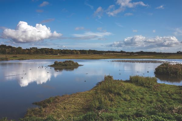 Burton Mere is an RSPB reserve