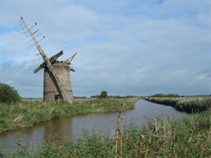 Norfolk - courtesy Pixabay Norfolk - courtesy Pixabay