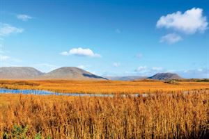 Magical Ireland
