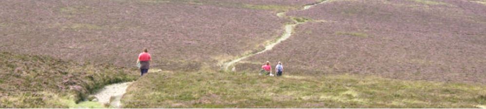 St Ives to Zennor