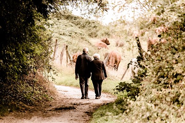 Countryside walking (Photo courtesy of Pixabay)