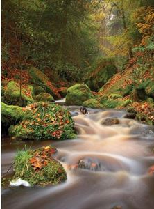 Image courtesy of Alamy - Wyming Brook, Hathersage, Derbyshire Image courtesy of Alamy - Wyming Brook, Hathersage, Derbyshire