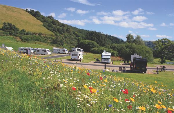 (Photo courtesy of Red Kite Touring Park) (Photo courtesy of Red Kite Touring Park)