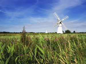 Norfolk Broads (Picture: Visit England) Norfolk Broads (Picture: Visit England)
