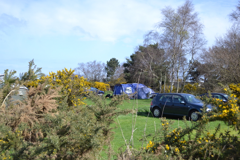kelling heath campsite
