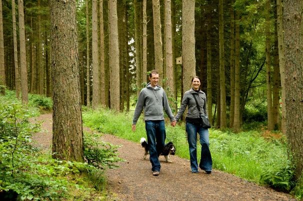 Walking in Kielder Forest Kielder Forest