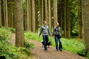 Walking in Kielder Forest (photo courtesy of Kielder Water and Forest Park) Walking in Kielder Forest (photo courtesy of Kielder Water and Forest Park)