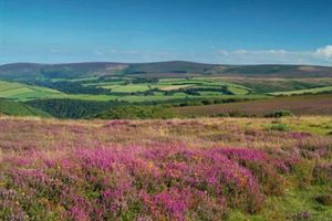 View over Exmoor (photo courtesy of VisitEngland/Visit North Devon) View over Exmoor (photo courtesy of VisitEngland/Visit North Devon)