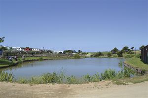 Trevornick's fishing lakes (photo by Claire Tupholme) Trevornick's fishing lakes (photo by Claire Tupholme)