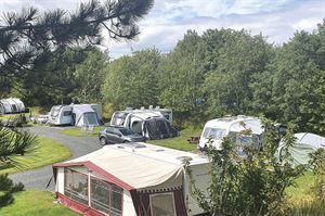 Waren Caravan Park (photo courtesy of Meadowhead Parks) Waren Caravan Park (photo courtesy of Meadowhead Parks)