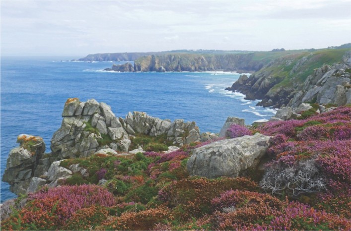 Flowering Finistère Flowering Finistere