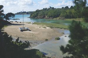 Brittany France shore (photo courtesy of Carol Kubicki) Brittany France shore (photo courtesy of Carol Kubicki)