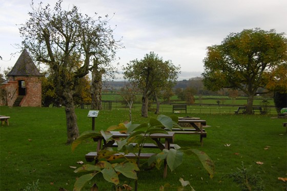 View from the cafe on site